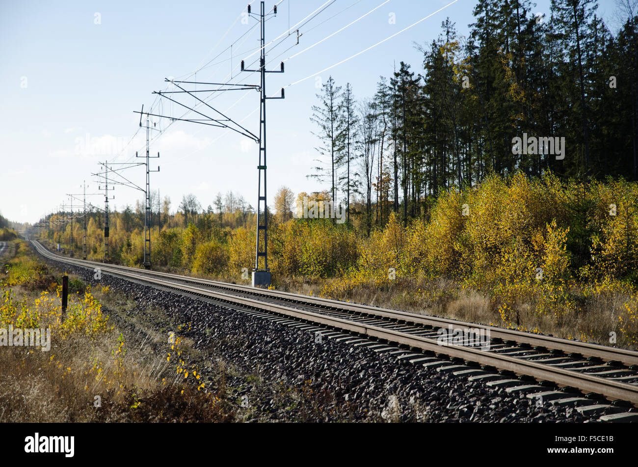 Railroad tracks in a colorful nordic landscape at fall Stock Photo