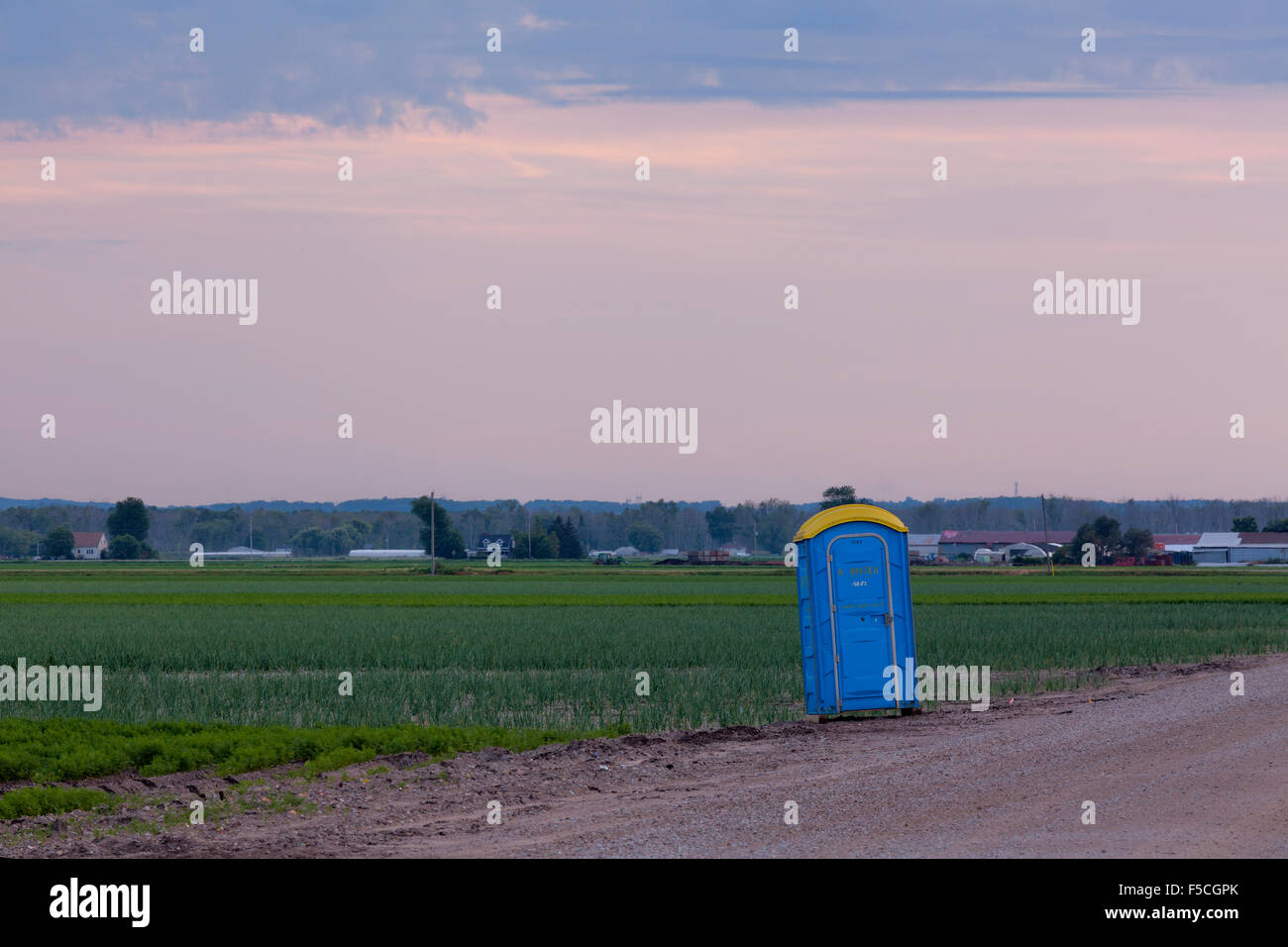 A roadsidepotty in the Holland Marsh at sunset. King Township, Ontario
