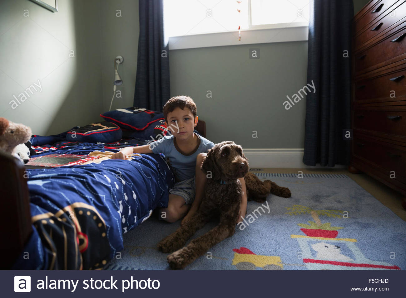 Portrait serious boy with dog on bedroom floor Stock Photo