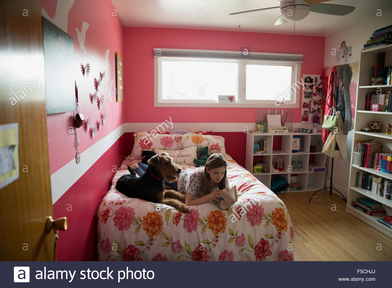 Dog laying next to girl reading book bed Stock Photo