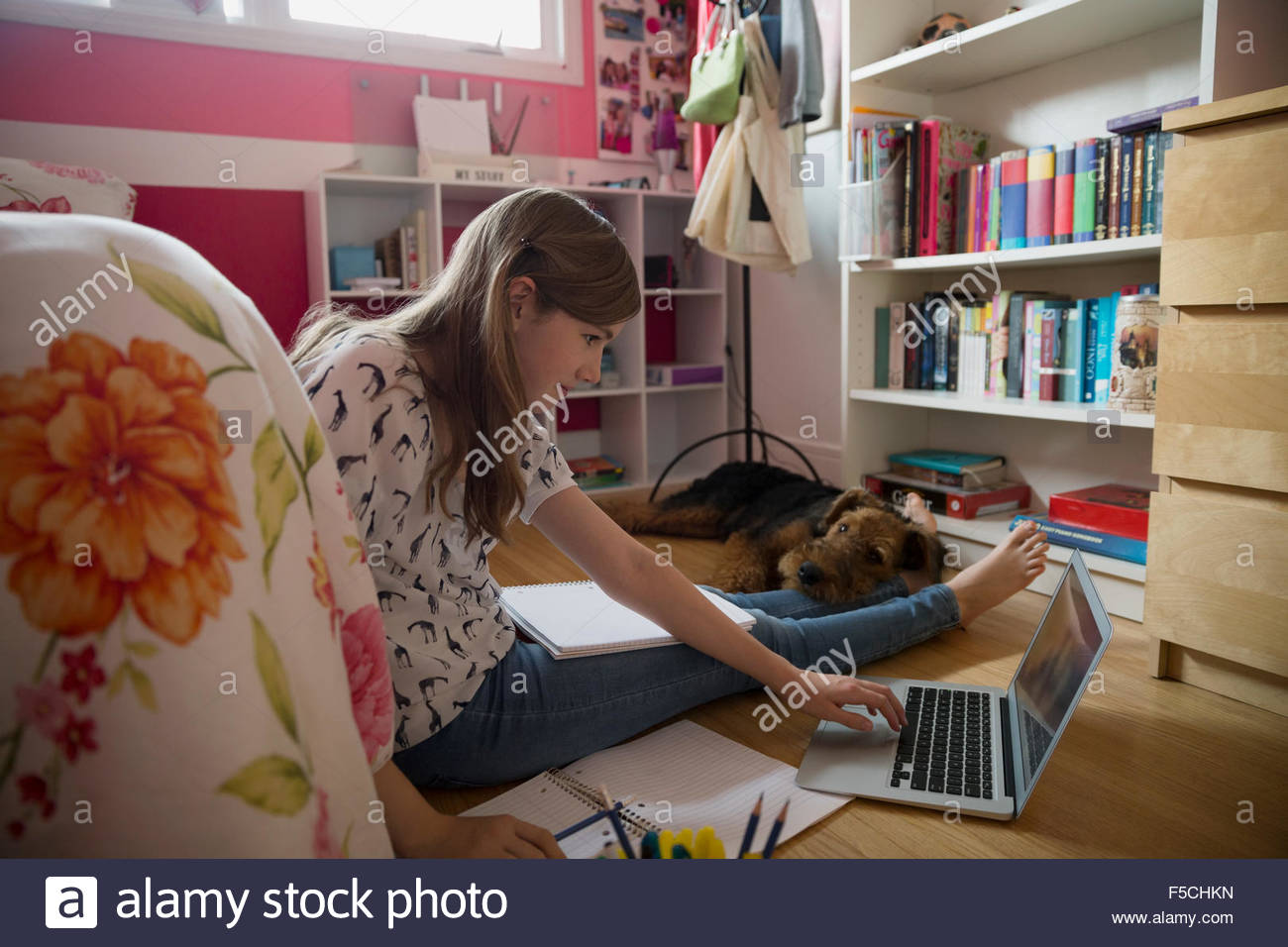 Dog sleeping on girl doing homework bedroom floor Stock Photo