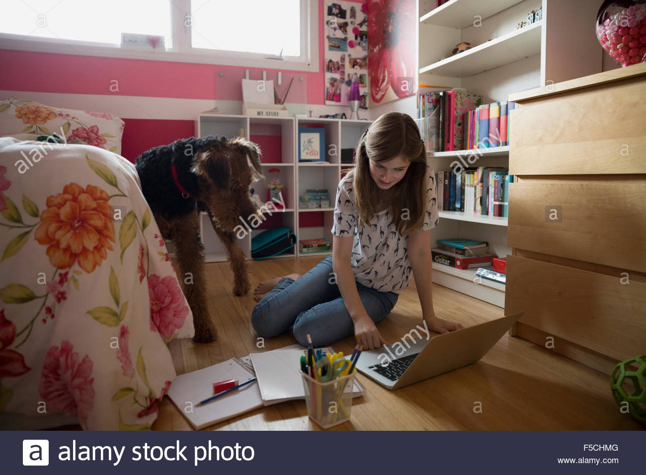 Dog watching girl doing homework on bedroom floor Stock Photo