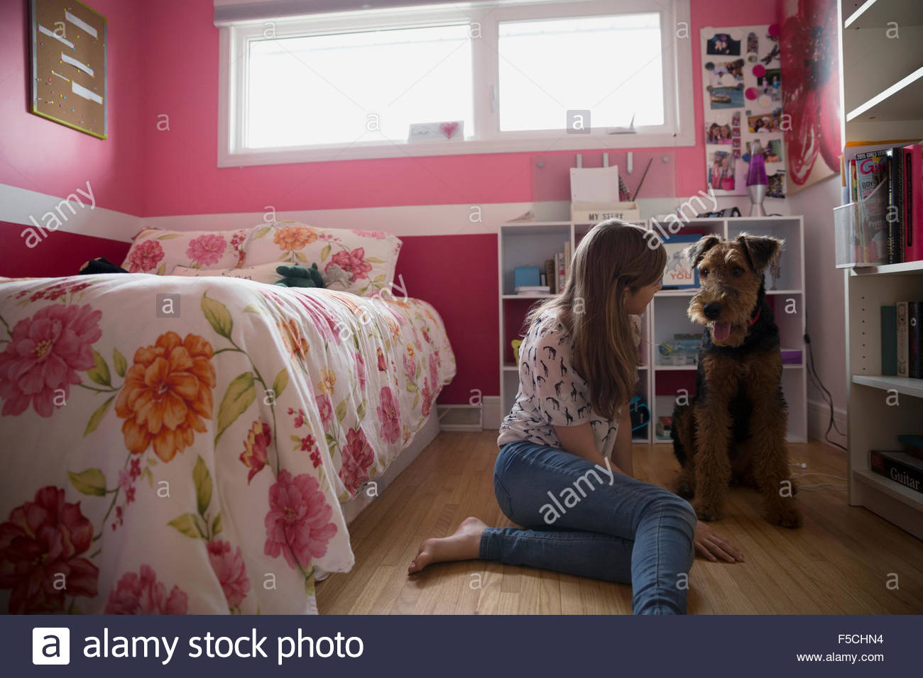 Dog and girl face to face bedroom floor Stock Photo