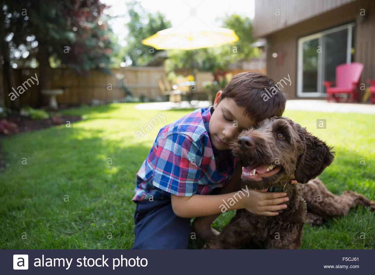 Affectionate boy hugging dog on lawn Stock Photo Alamy