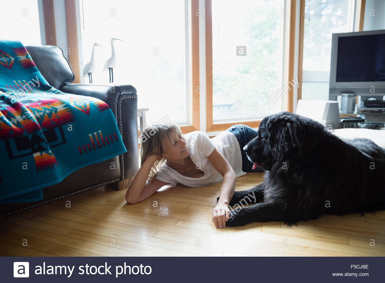 Woman and dog laying face to face floor Stock Photo