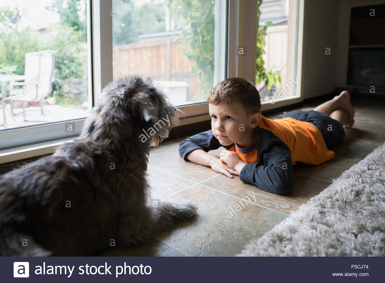 Serious boy staring at dog on floor Stock Photo