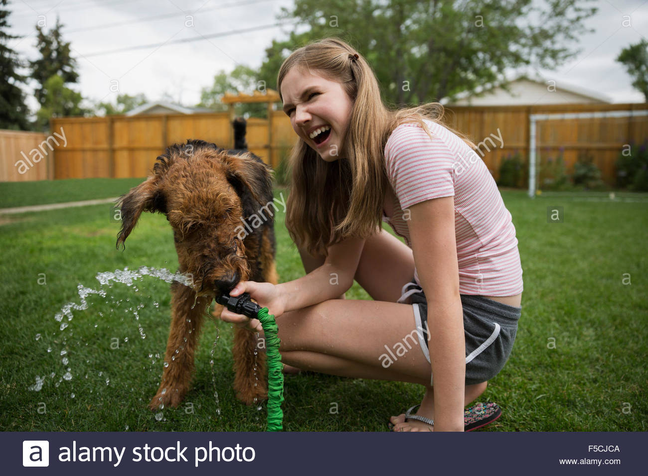 Laughing girl holding hose for dog drinking water Stock Photo