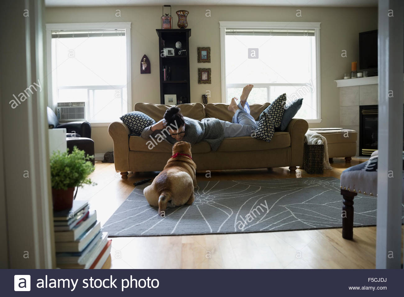 Woman sofa looking down at dog living room Stock Photo
