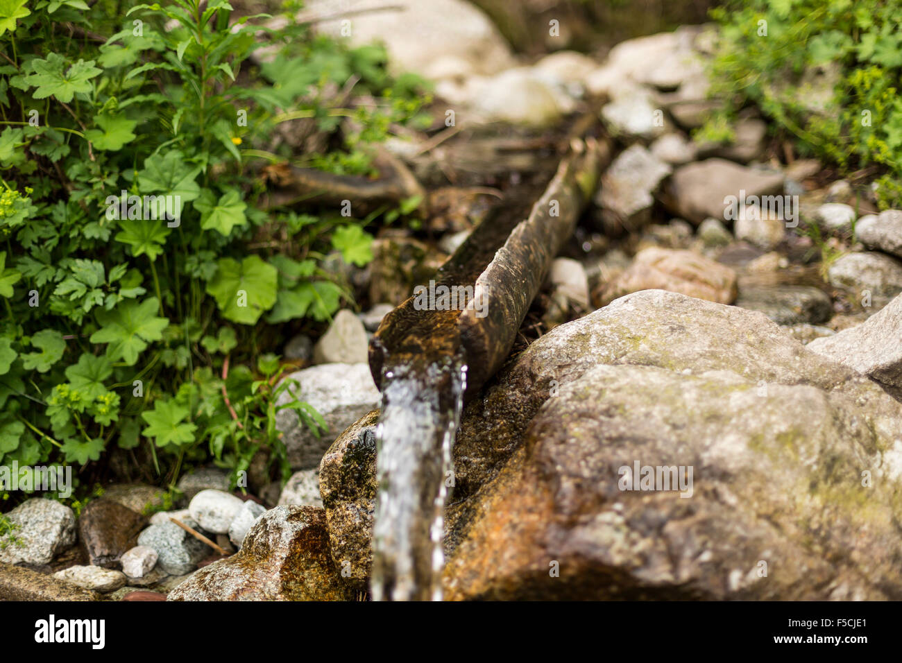 Mountain Water Stream Stock Photo