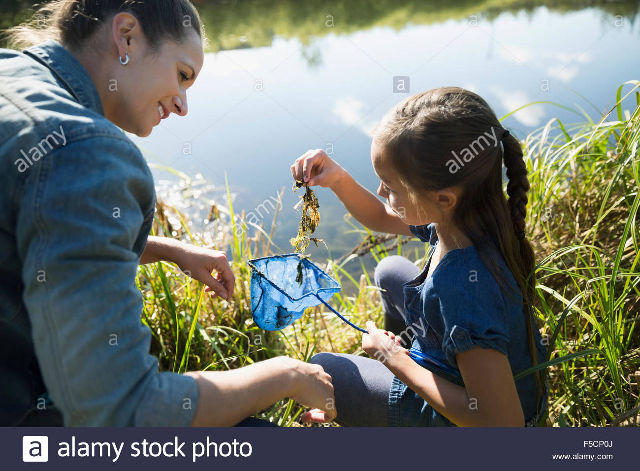 Science teacher and student examining algae field trip Stock Photo Alamy
