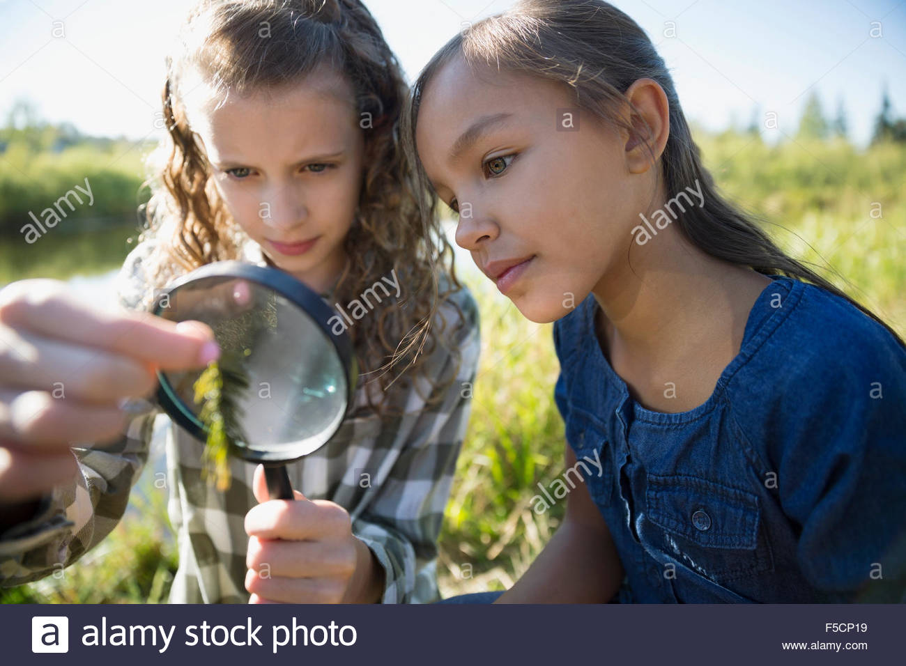 Curious girls examining plant with magnifying glass Stock Photo