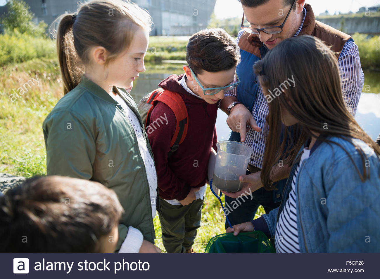 Science teacher and students examining water field trip Stock Photo Alamy
