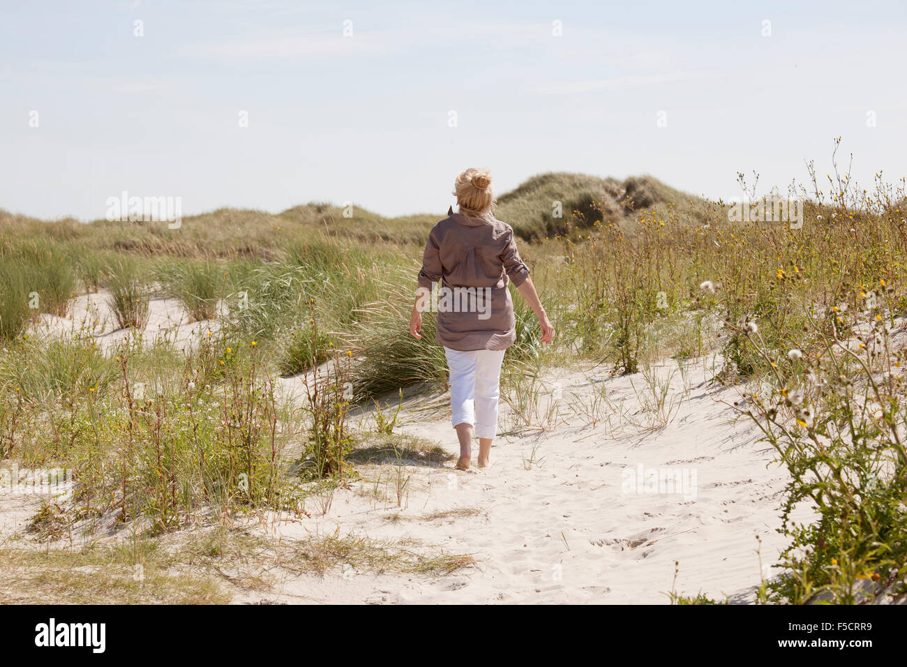 One Senior walks in the dunes on a beach and enjoying the peace and quiet Stock Photo