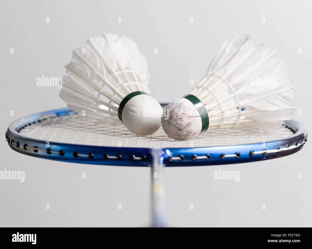 Pair of Shuttlecocks on Badminton Racket Stock Photo