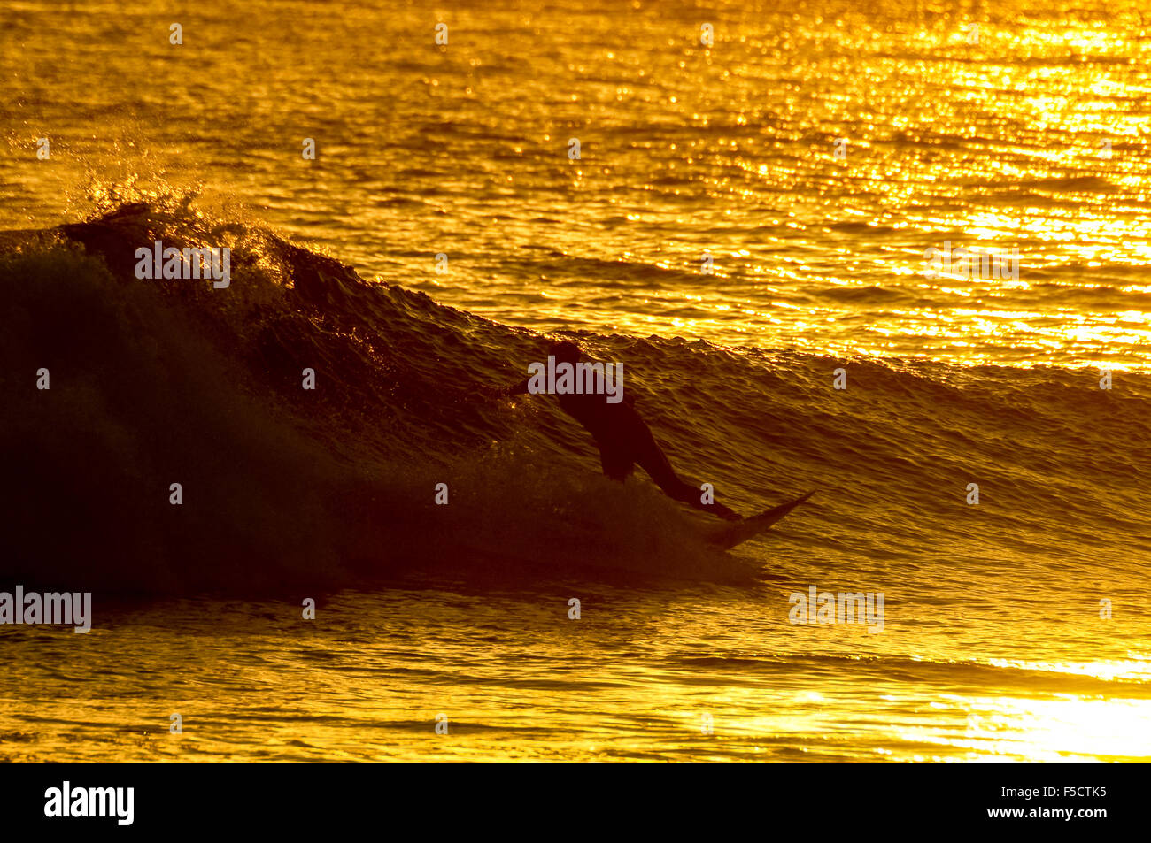 Silhouette Surfer at Sunset Stock Photo - Alamy