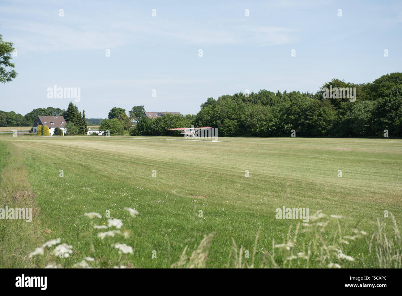 small aircraft just landing on grass Stock Photo - Alamy