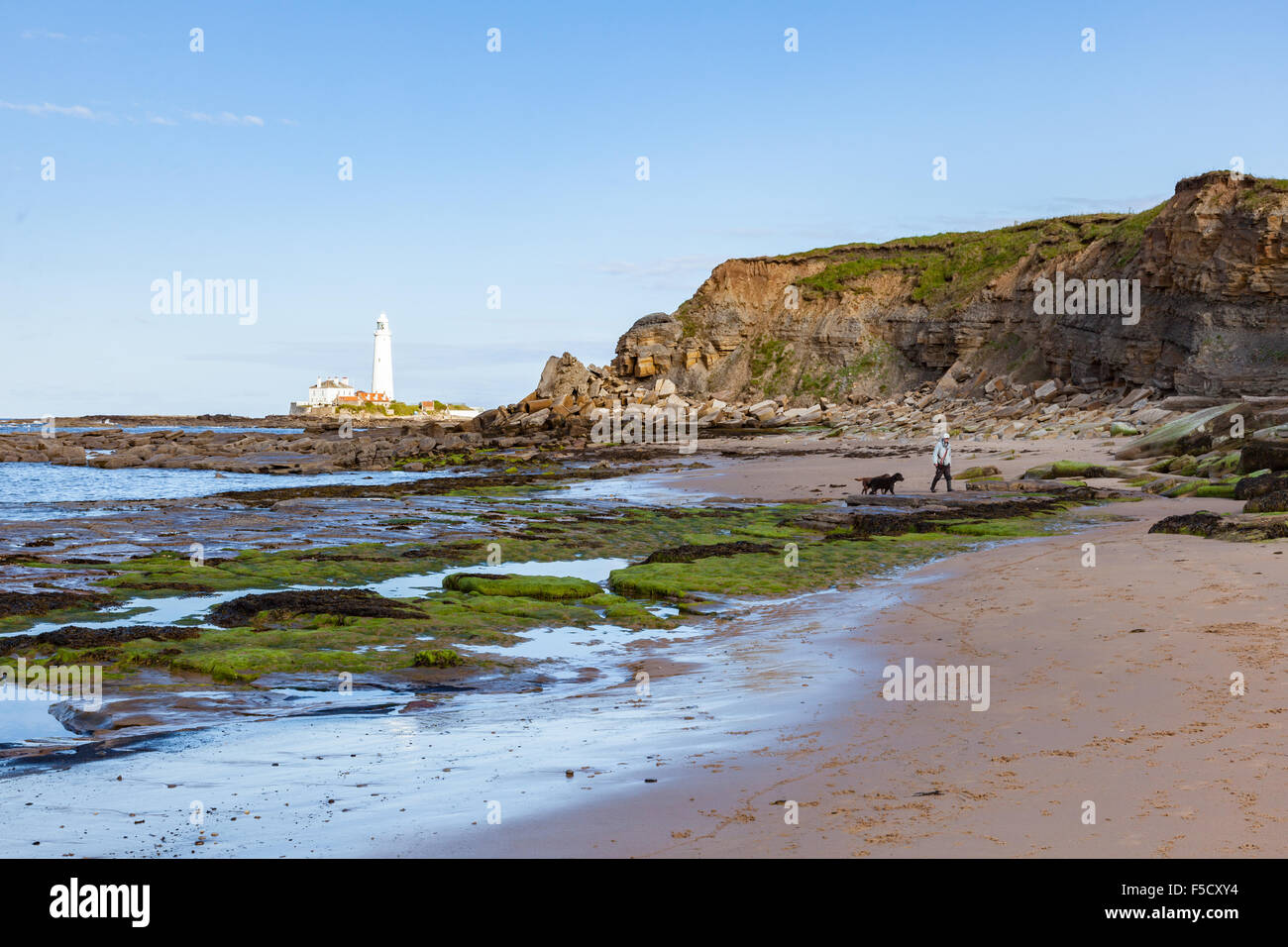 A dog walker on the beach near Hartley and Seaton Sluice, Tyne and Wear, UK Stock Photo