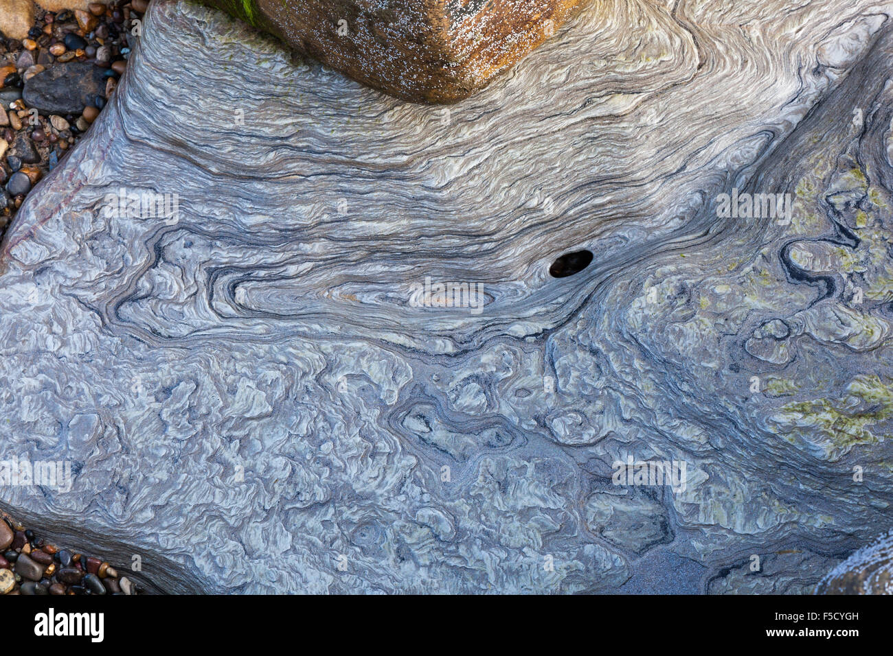 Patterns formed by erosion of a rock, almost silver looking on the beach near Seaton Sluice, Tyne and Wear, UK Stock Photo