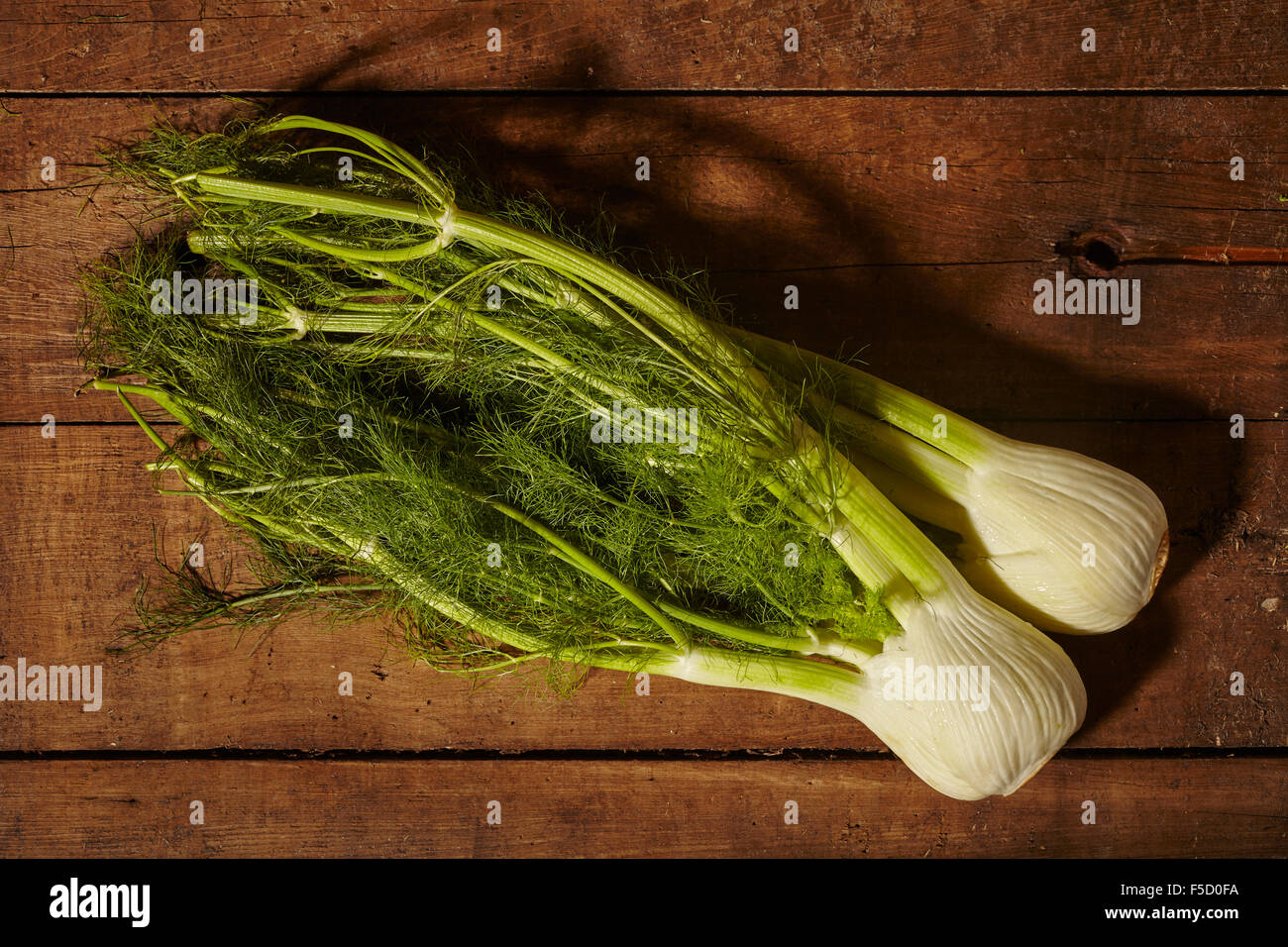 whole fresh fennel Stock Photo Alamy
