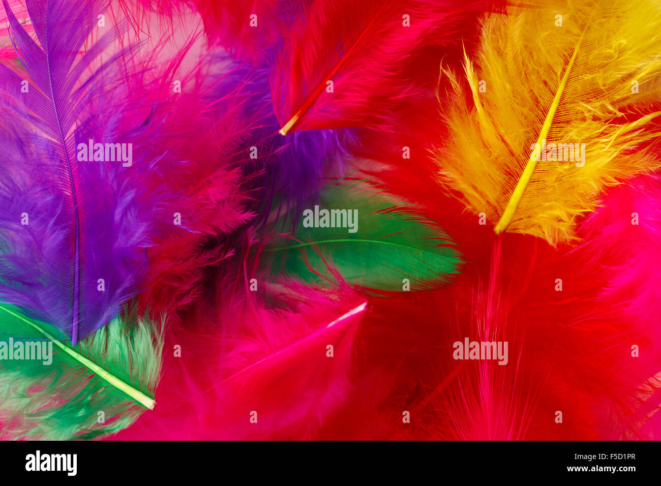 Bright multi-colored feathers background Stock Photo - Alamy