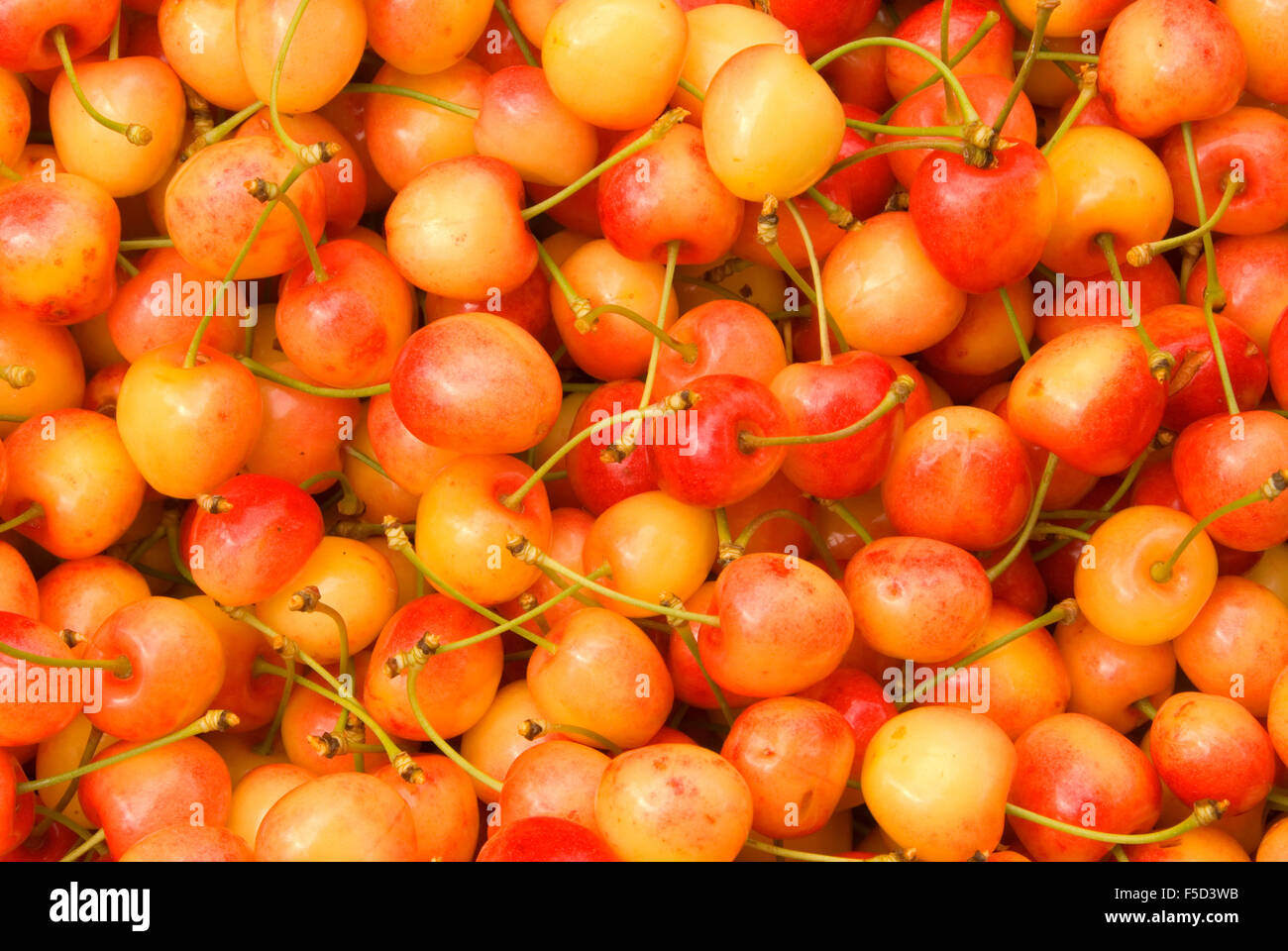 Royal anne cherries hires stock photography and images Alamy