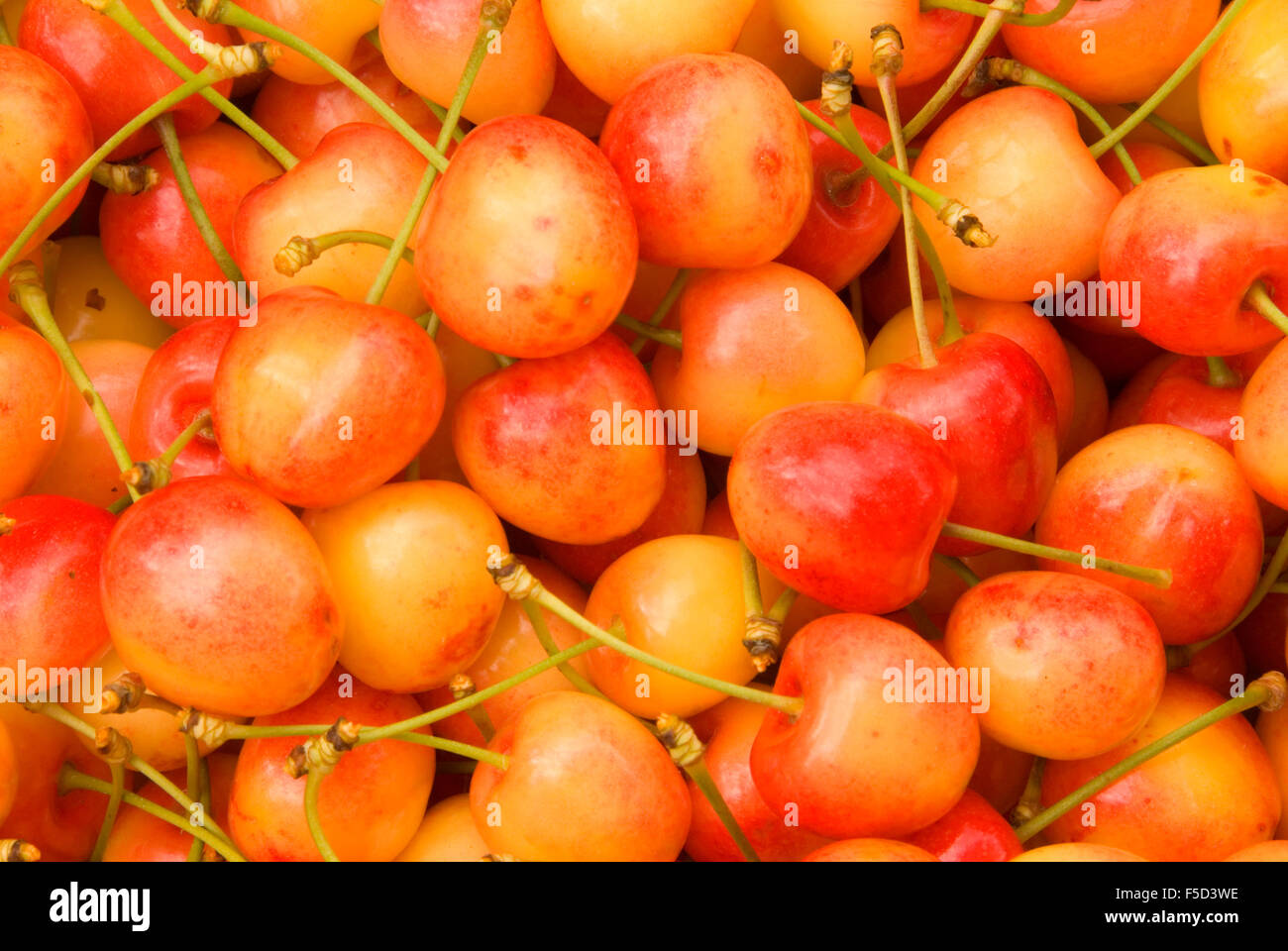Royal anne cherries hires stock photography and images Alamy