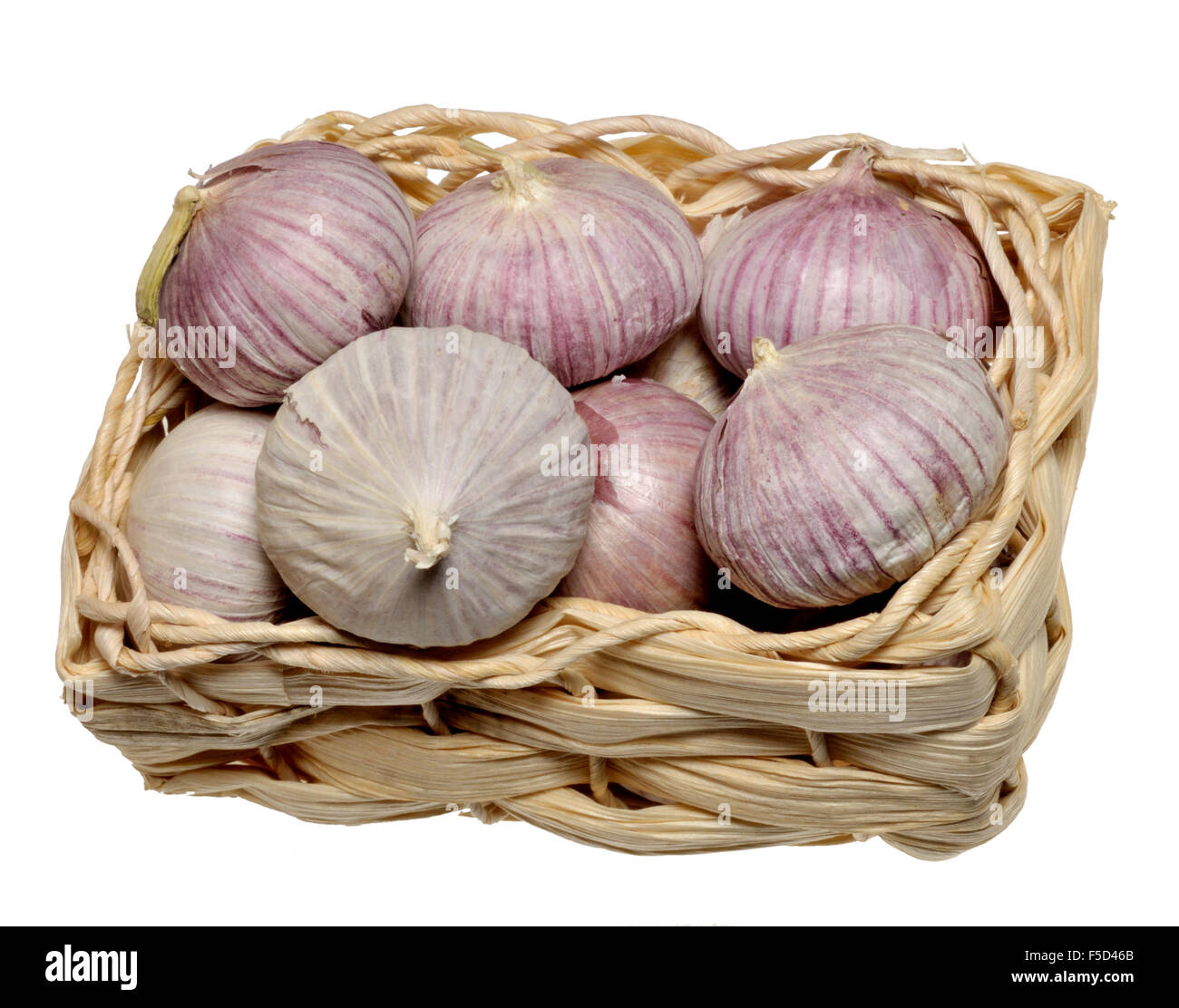 Single Bulb Garlic / Solo Garlic (Allium sativum) The bulb is not split