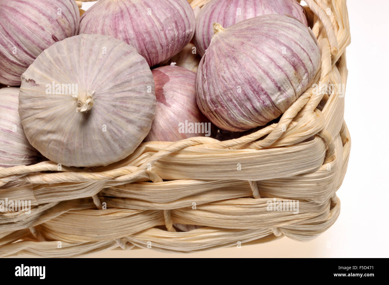 Single Bulb Garlic / Solo Garlic (Allium sativum) The bulb is not split