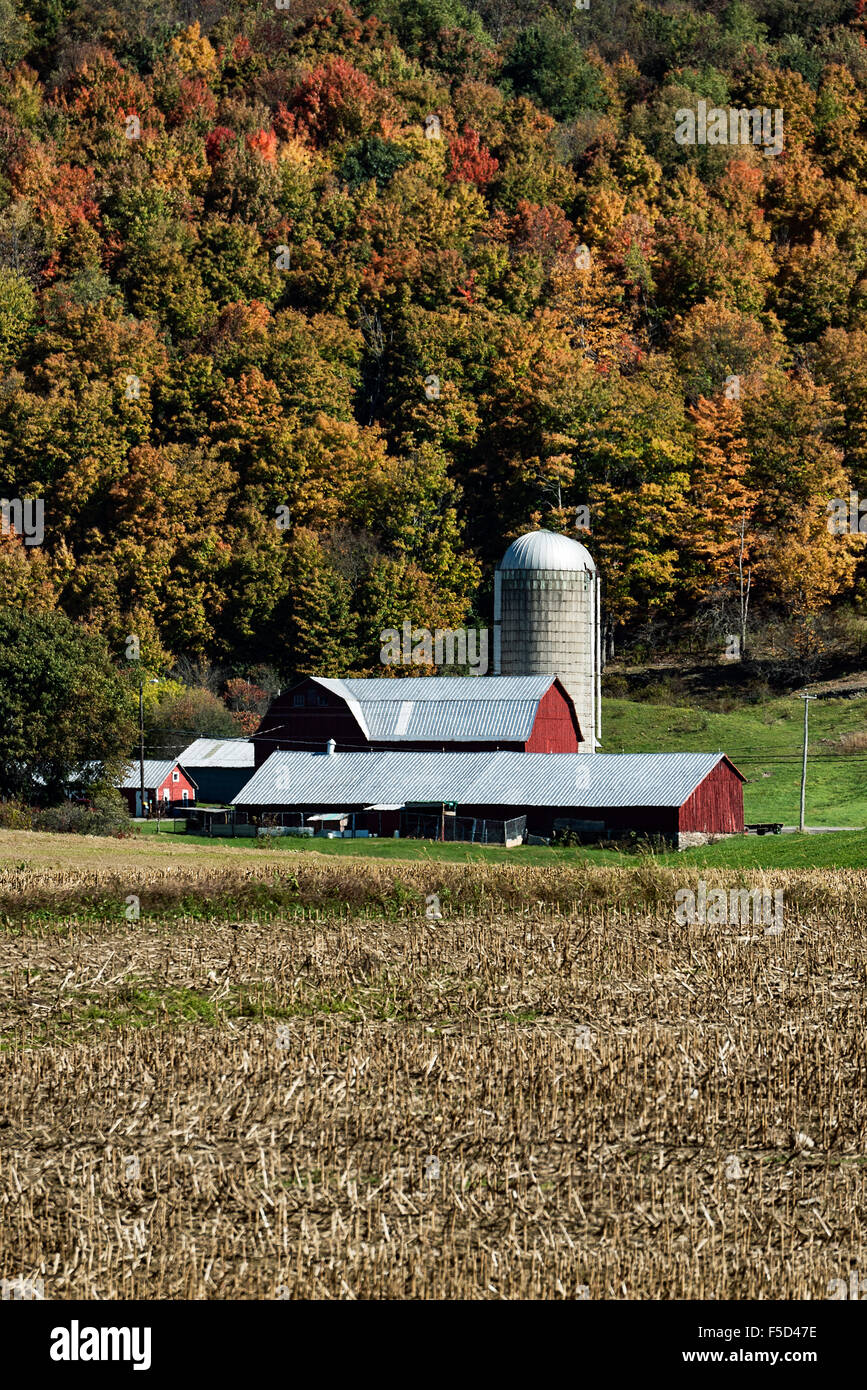 Scenic farm in rural upstate New York, Homer, NY. USA Stock Photo