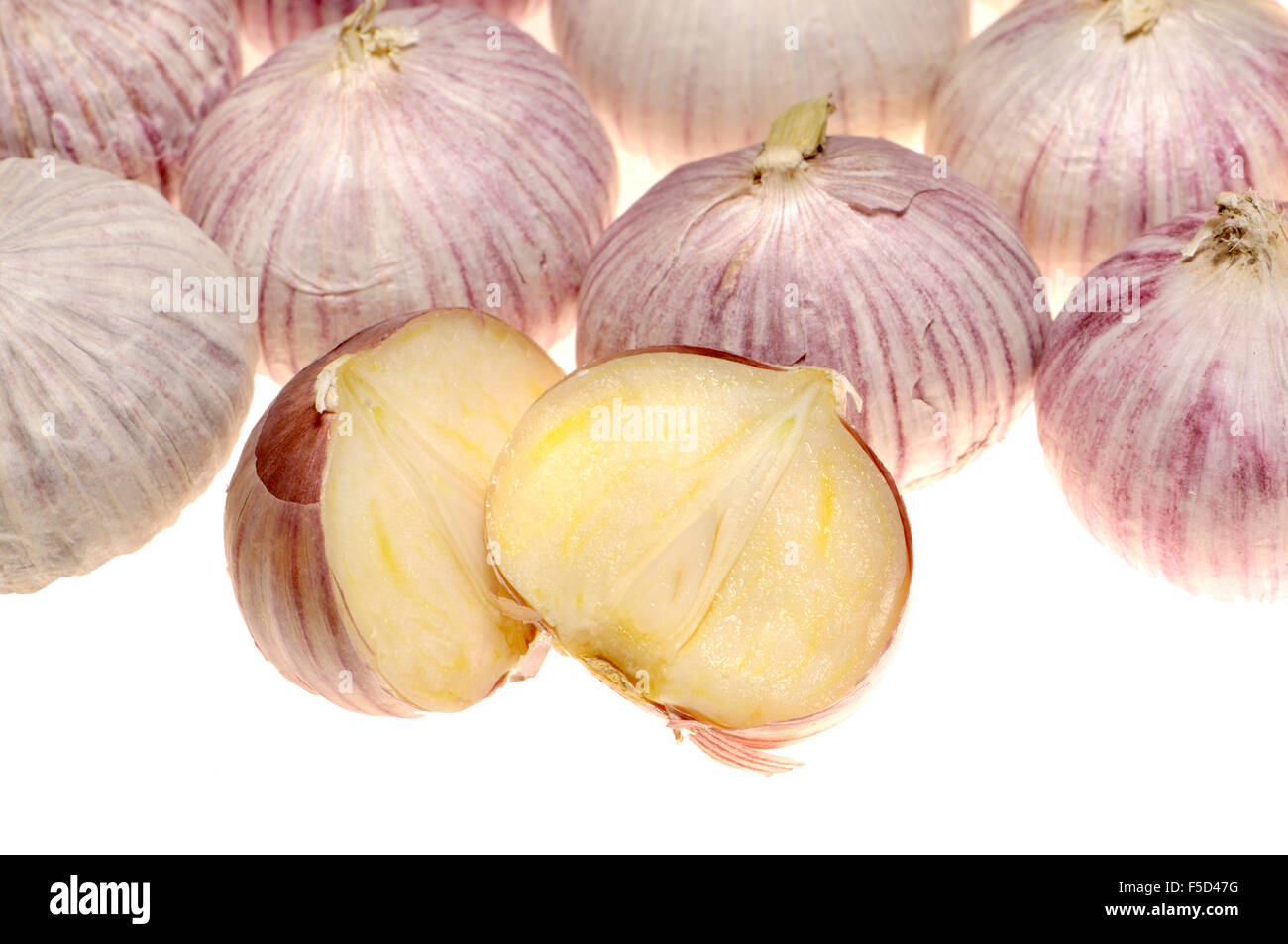 Single Bulb Garlic / Solo Garlic (Allium sativum) The bulb is not split into cloves but a single
