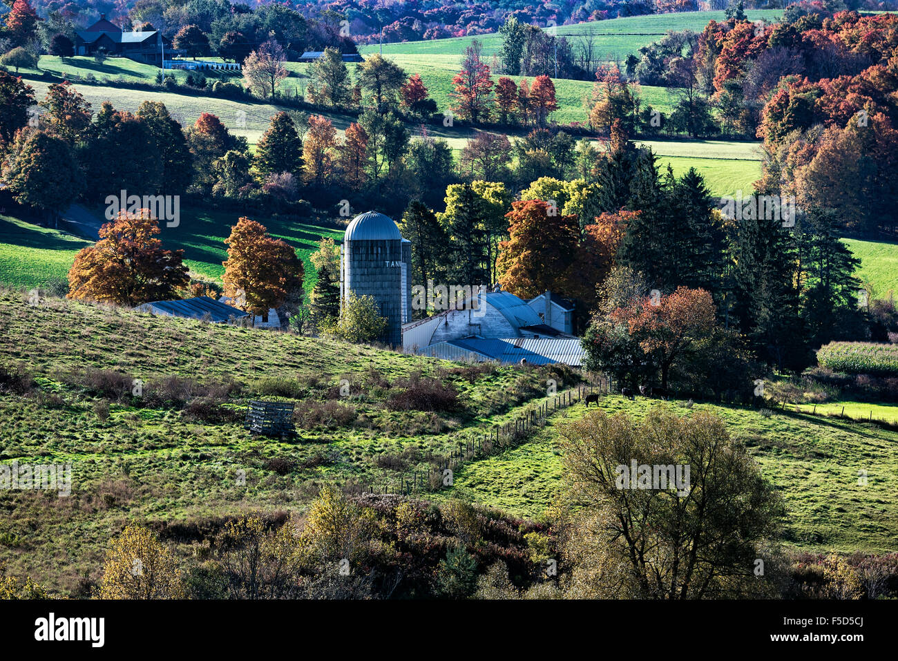Scenic autumn farm, Madison, New York, USA Stock Photo