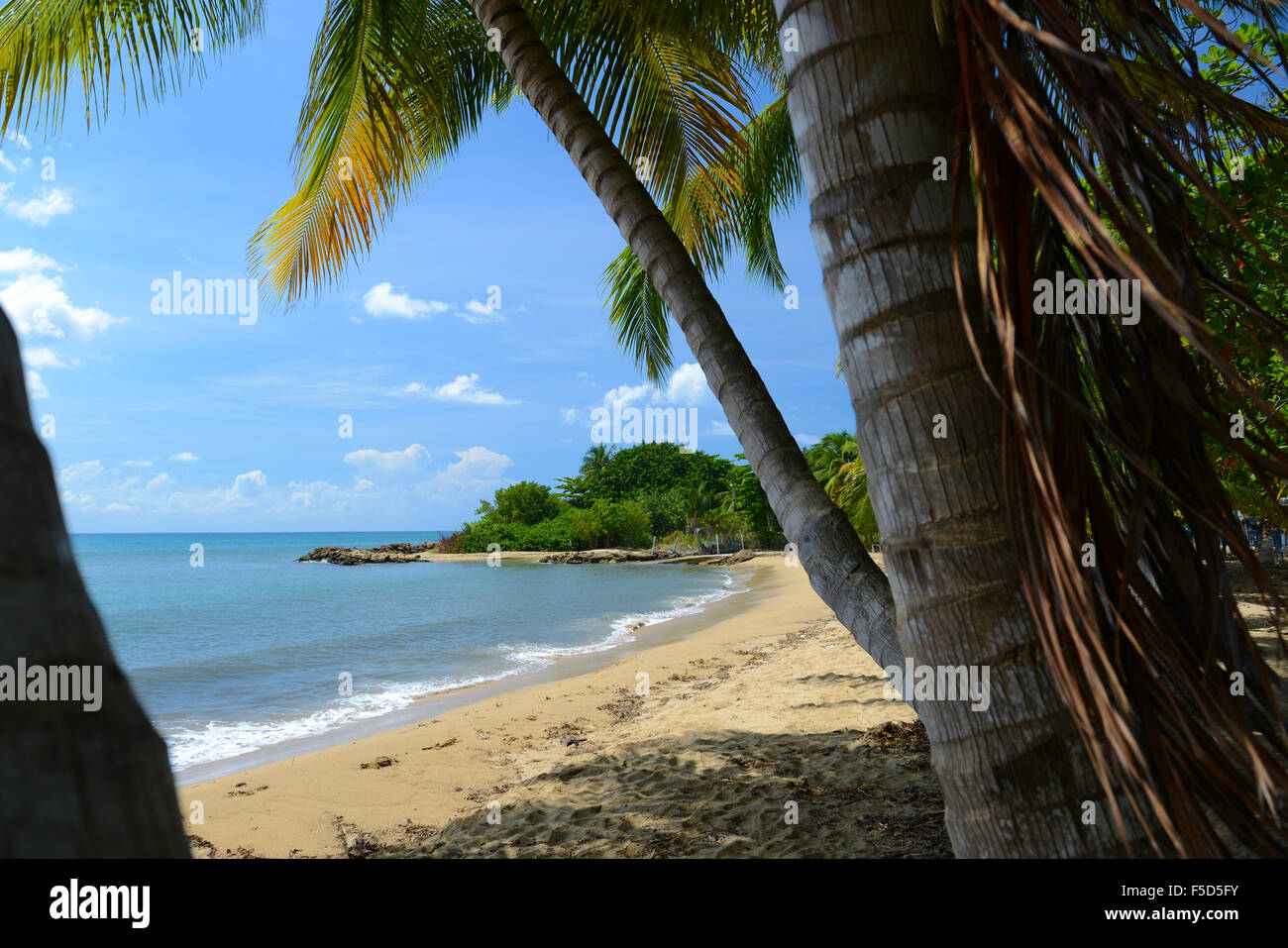 Puerto rico beach hi-res stock photography and images - Alamy