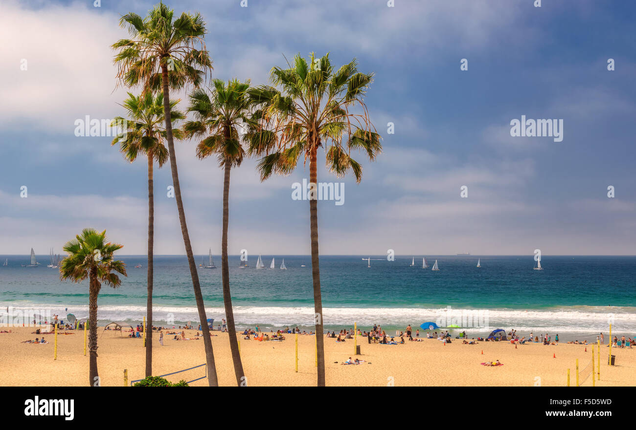 Palm trees on a beach and yachts at ocean in Manhattan Beach. Stock Photo