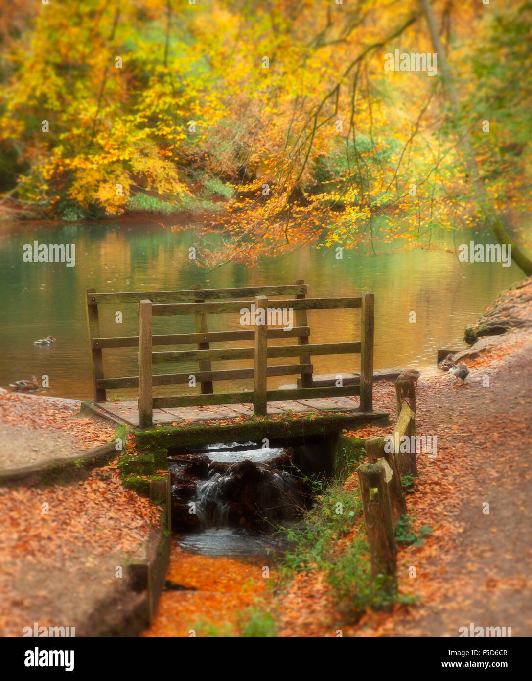 Waggoners Wells in Autumn. Stock Photo