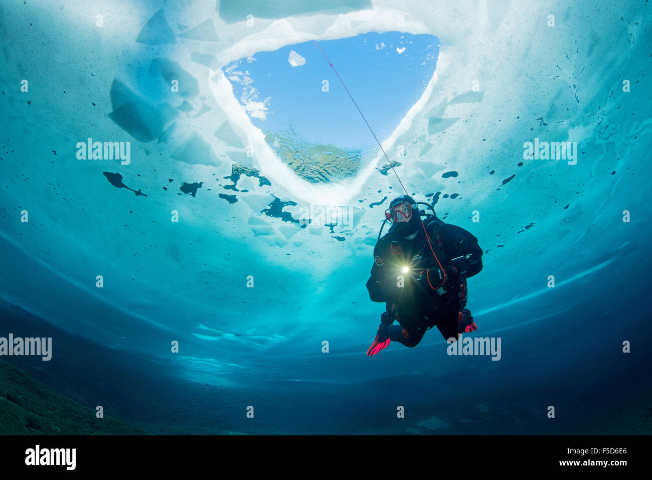 scuba diver under ice or icehole with safety robe, scuba icediving