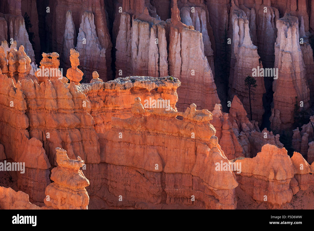 View of Bryce Amphitheater from Inspiration Point, coloured rock formations, fairy chimneys, morning light Stock Photo
