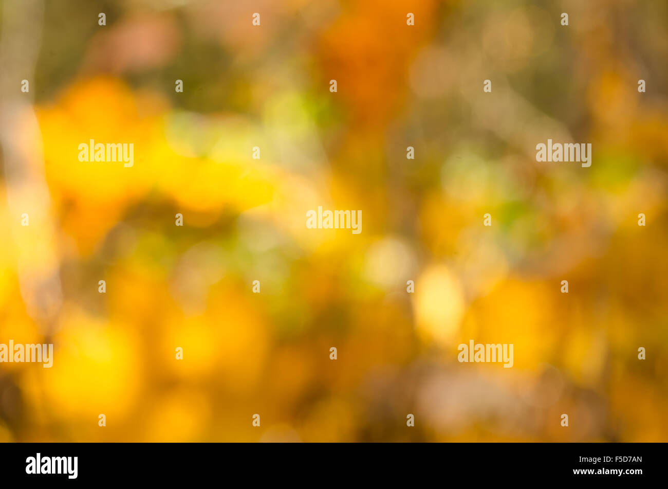 blurred defocused colorful fall background Stock Photo - Alamy