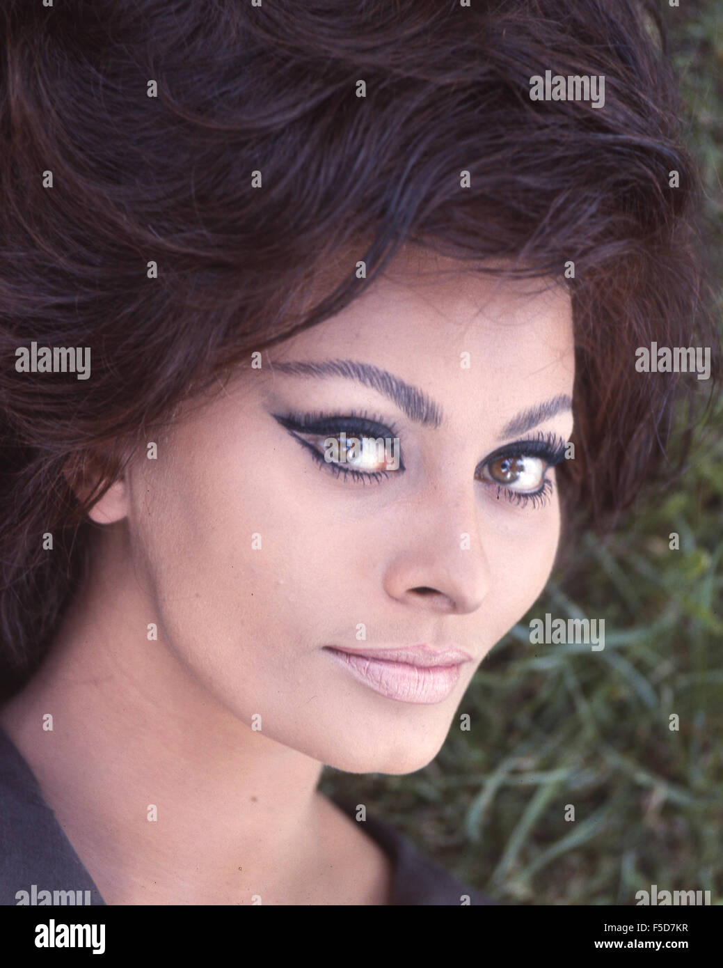 SOPHIA LOREN  Italain film actress about  1960 Stock Photo