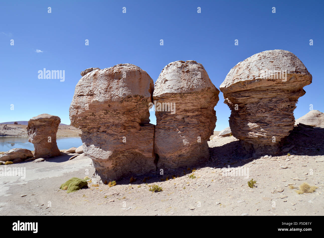 Mushroom rocks, rock formations created by wind erosion, Valle de Las