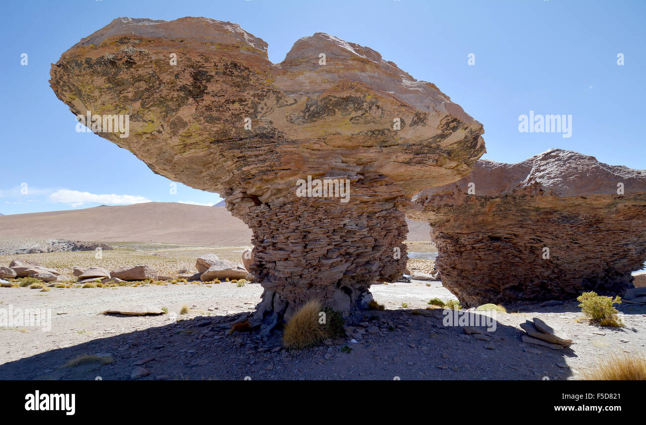 Mushroom rocks, rock formations created by wind erosion, Valle de Las ...
