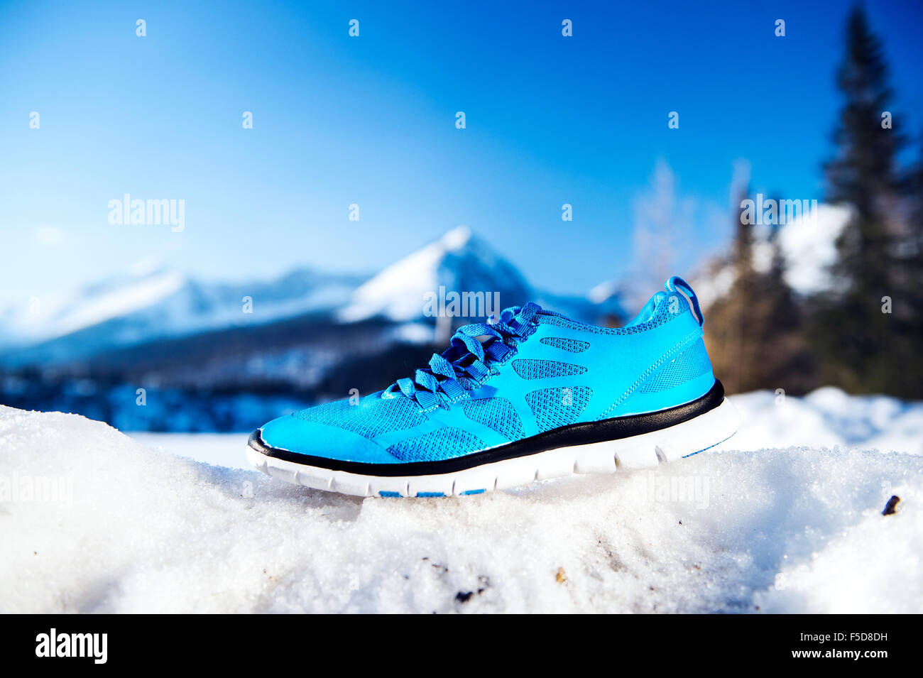 blue running shoes womens