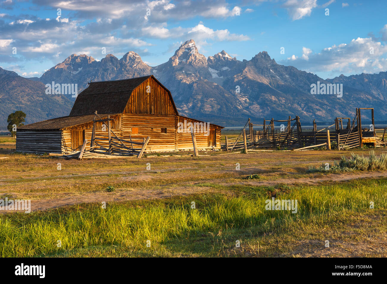 John Moulton Barn at sunrise with the Grand Tetons in the background, Grand Teton National Park, Wyoming, USA. Stock Photo