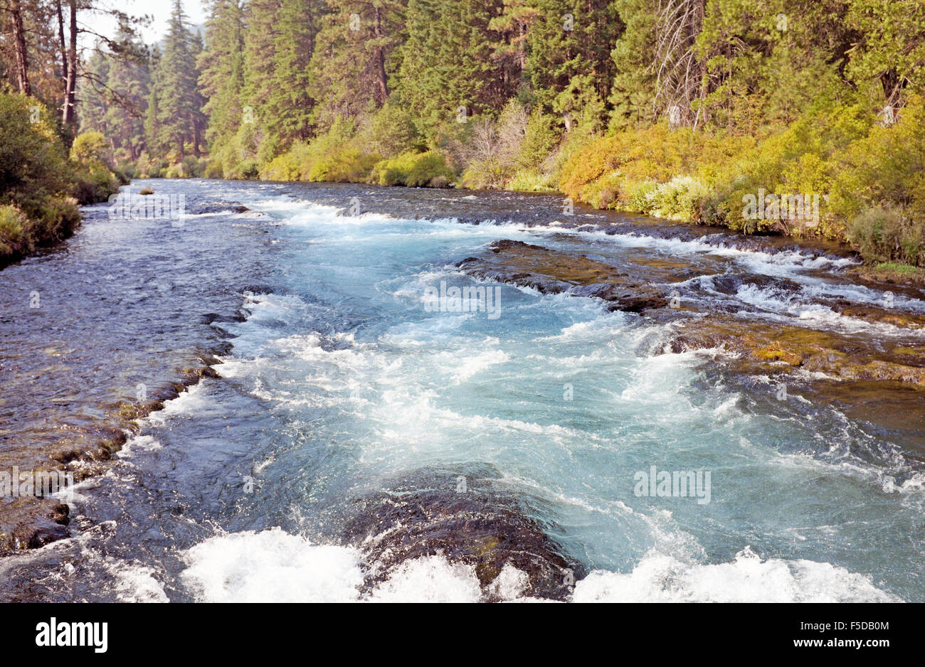 The Metolius River in the Cascade Mountains of central oregon near the resort town of Sisters, Oregon Stock Photo