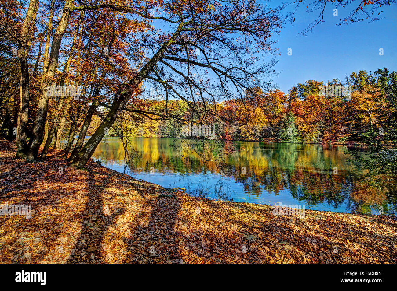 Colorful leaves on trees along lake in autumn, HDR image Stock Photo ...