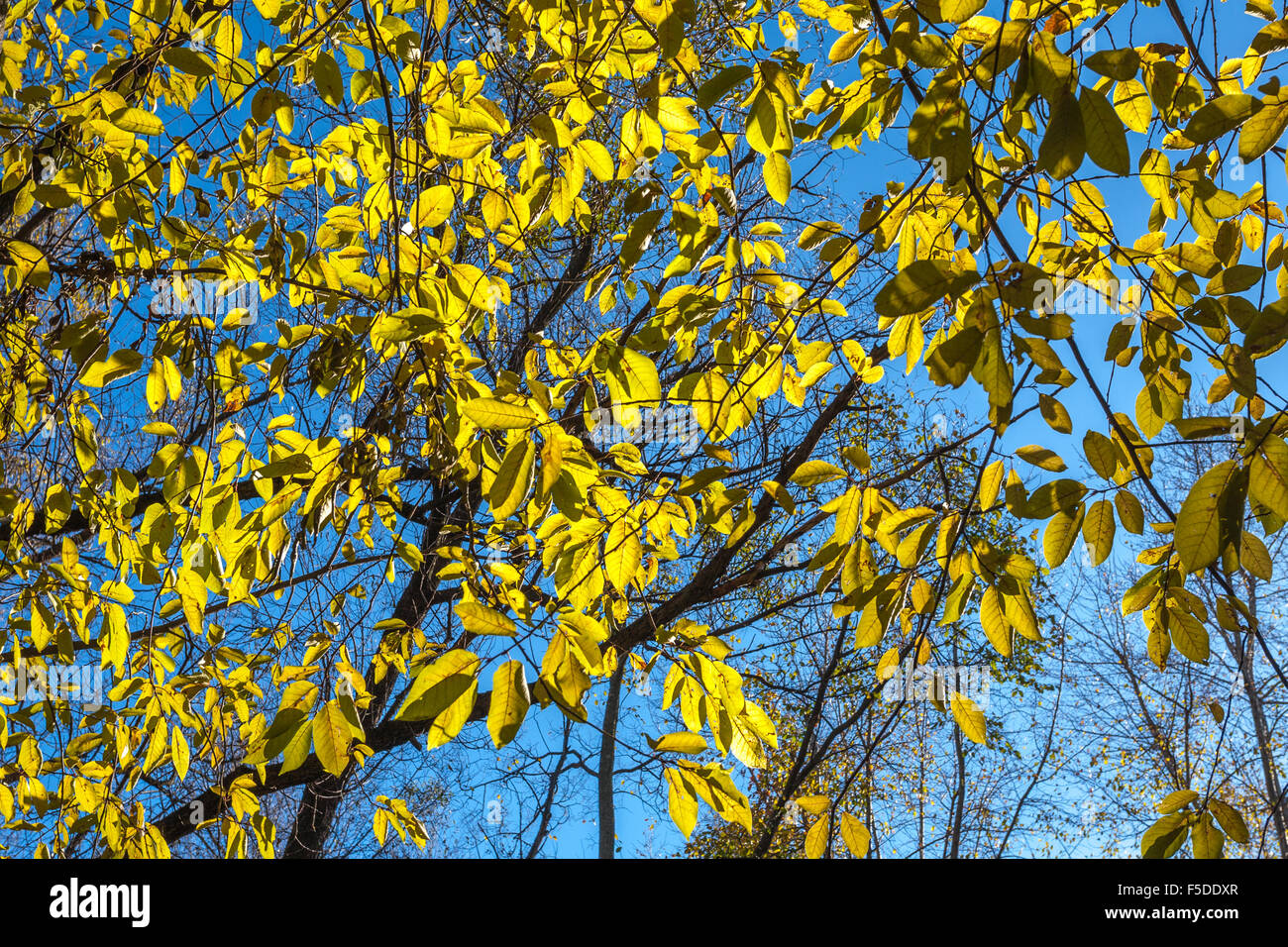 bottomless blue sky Stock Photo