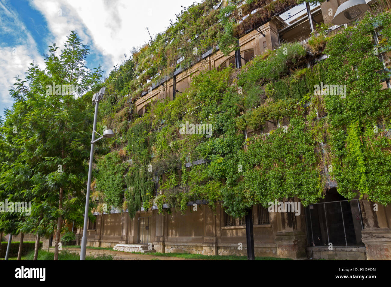 Green wall in a sustainable building Stock Photo Alamy
