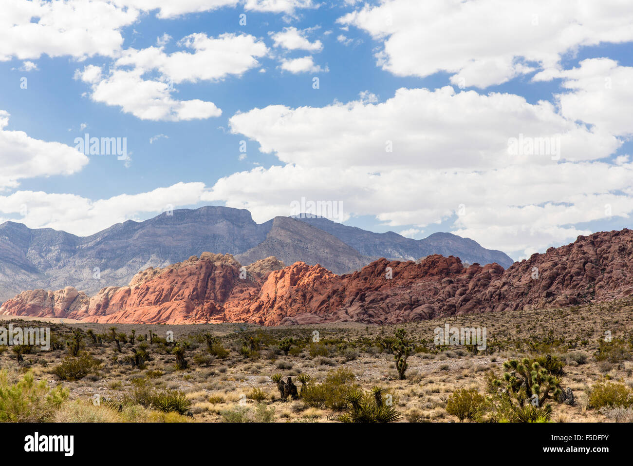 Landscape in Red Rock Canyon State Park near Las Vegas, Nevada, USA Stock Photo