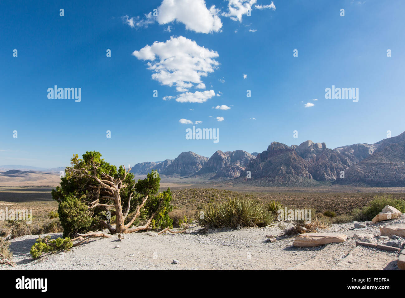 Landscape in Red Rock Canyon State Park near Las Vegas, Nevada, USA Stock Photo