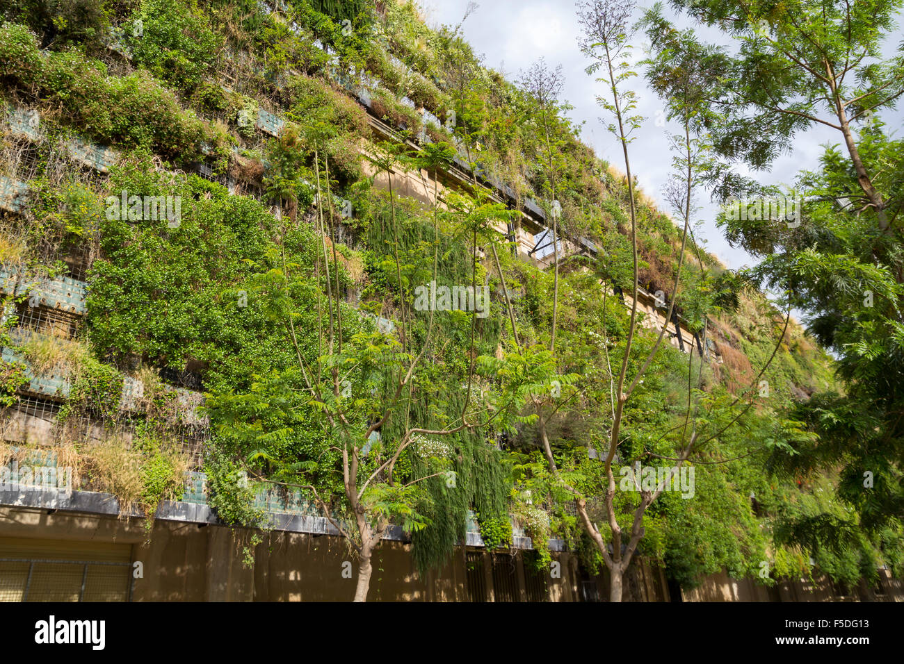Green wall in a sustainable building Stock Photo Alamy