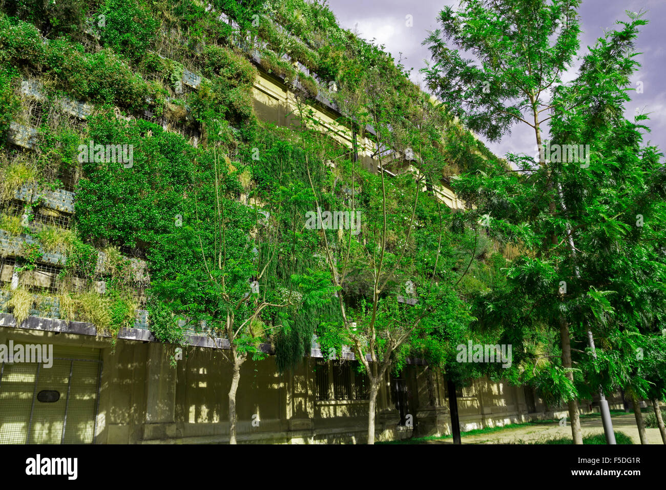 Image showcasing Green wall in a sustainable building Stock Photo - Alamy